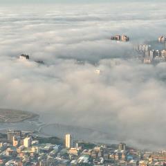 【桃園文選】霧鎖淡江