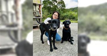 動野保團體互嗆2／一隻浪浪燒百萬全民買單　野保界批零安樂死變長期監禁