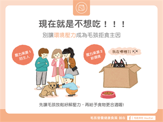【汪喵餵養知識】現在就是不想吃！別讓環境壓力成為毛孩拒食主因