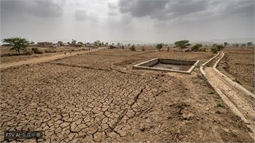 印度季風降雨量暴跌43% 政府急啟300區抗旱應變