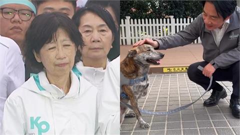 諷賴清德斷肢愛犬「殘障三腳狗」陳佩琪被罵爆！蔡英文霸氣護犬：我帶去給你