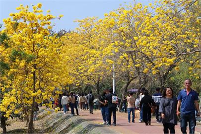 「潮風鈴•野餐音樂市集」3/8日起登場 知名歌手、樂團輪番登台