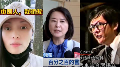 中配亞亞「桃園三結義」強制出境！王鴻薇急護航開罵「扯鄭南榕」網怒：諷刺