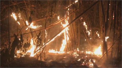 焚燒廢棄模板未熄滅火苗延燒國有林地　男子遭移送法辦最重可處10年徒刑