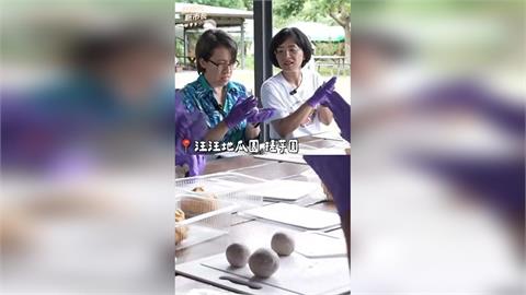 快新聞／蘇巧慧帶蕭美琴「玩」金山！拋新皇冠計劃　串起8大沿海鄉鎮