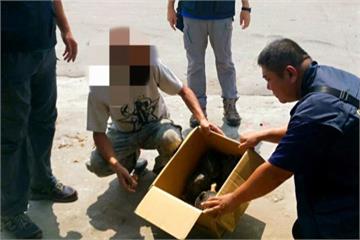為錢鋌而走險！男子設陷阱抓保育食蛇龜