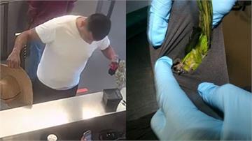 褲襠激凸惹疑！美男闖海關遭攔　內褲竟塞2昏迷鸚鵡