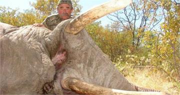 獵殺無數動物！　美富豪非洲狩獵慘遭象群踩死