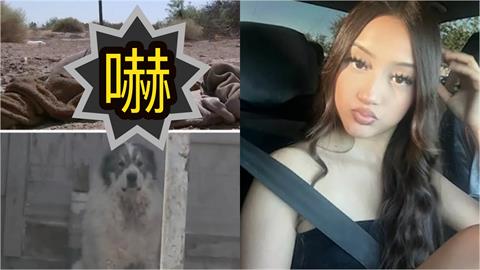 17歲少女慢跑「衝出16隻巨犬」狂咬猛追！媽認不出「被問1句」哭了