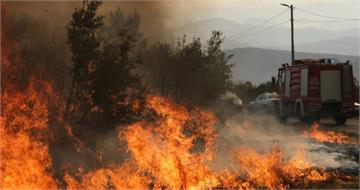 南歐高溫逾40度熱浪肆虐！兒童中暑身亡、數千居民急撤離