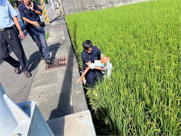 八旬男子揮手招公車！　重心不穩「倒栽蔥」摔落一米深稻田