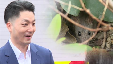 天降「老鼠」！　民眾逛北市中山區百貨嚇到尖叫