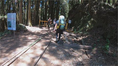 山友必訪聖地！阿里山眠月線重新開放　482人申請入園