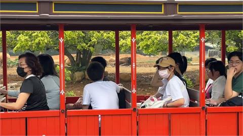六福村慶祝開園45週年　重啟復古「自駕遊園」　近距離接觸草食性動物