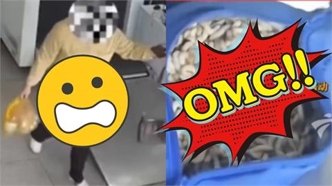 3女入境「下體鼓超大包」走路怪異！海關搜身驚見「滿滿一袋活蟲」還在蠕動