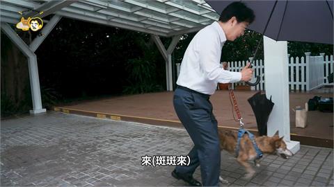 陳佩琪為夫抱屈波及「第一愛犬」斑斑被罵翻　又PO清涼照轉移焦點？