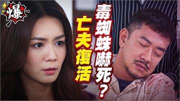 《多情城市-EP450精采片段》亡夫復活   毒蜘蛛嚇死？