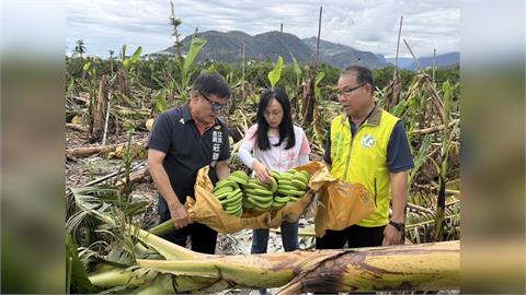 促台東國有耕地租金減收7成 陳瑩.莊瑞雄:伴農民度難關
