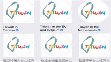 外交部力推正名「台灣」 拒絕「中華台北」！
