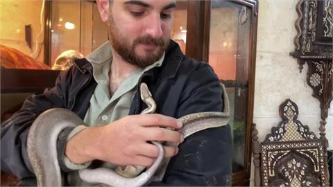 以黎交戰毛孩流離失所　約旦飼育員：救動物貼錢也無悔