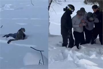 【有片】新疆滑雪客拍雪豹遭咬傷滿臉是血　「靠太近」說法惹議