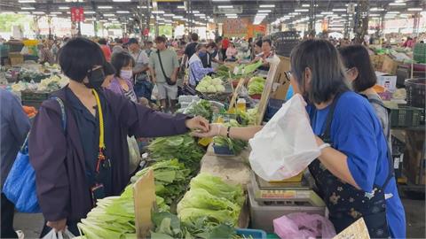 菜價終於回穩！每公斤約4、50元　青蔥1公斤仍要300元