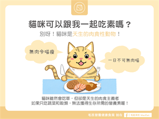 【汪喵餵養知識】貓咪可以吃素嗎？別！貓咪是天生肉食性動物！