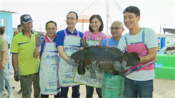 快新聞／李眉蓁訪視高雄養殖漁業 讚石斑魚扭動「很有活力」