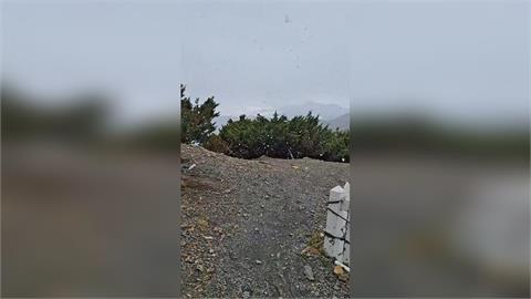 快新聞／玉山「降下初雪」了！歷時半小時