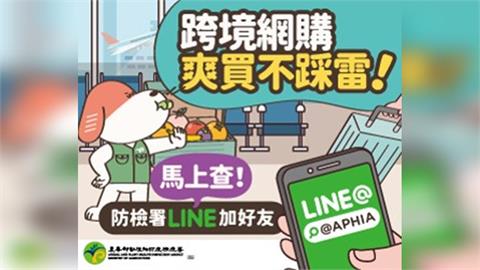 雙11血拼停看查！跨境下單肉品植物最高罰300萬