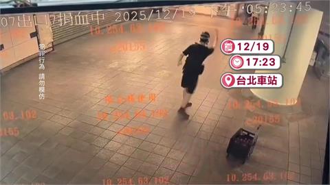 張文「北車、中山」投擲煙霧彈！　持刀砍人釀四死