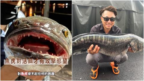 魚虎已能分辨魚鉤？「差2公分巧妙閃過」他曬影片佐證：真的會進化！