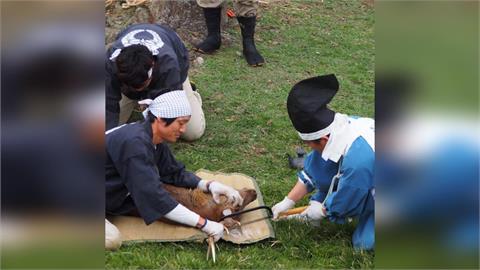 冬天來了！日本氣溫急降　北海道札幌「紅葉搭配白雪」超夢幻