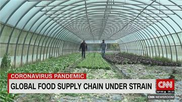 全球物流幾乎停擺 食物供應鏈面危機