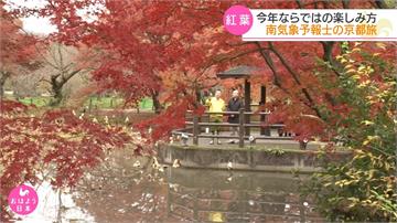 暖冬紅葉季遲到 京都賞楓列車點燈活動宣布延長