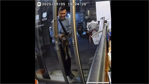 尋找超級暖男！　　店貓偷溜男子抓回　搬來三角錐花盆擋門防逃