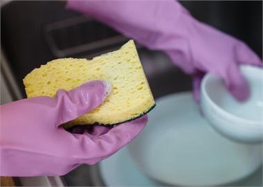 比馬桶還髒！研究曝「廚房海綿」細菌超多　專家建議改用1物品