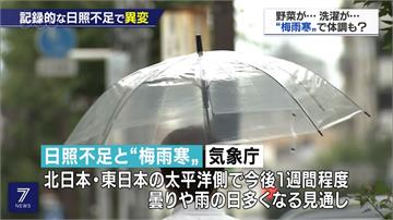 陰雨綿綿！東京連續17天日照不到3小時