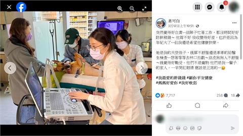 愛犬罹胃癌２０天花９萬元　米可白：費用多少都沒關係