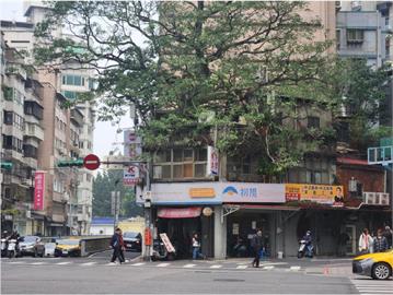 321國際森林日邀請來老樹巡禮　探索綠意與歷史的交織