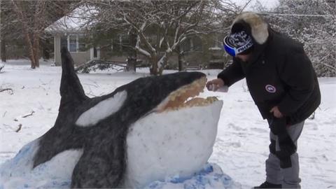 冬季風暴襲美國　密西根州男子積雪堆出虎鯨雕塑