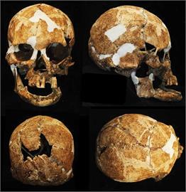 台東山洞6000年前女性骨骸　研究：台灣「黑矮人」可能為真