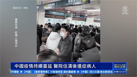 中國驚傳「人感染禽流感」　四川等地爆發不明原因豬瘟