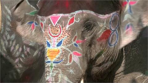 尼泊爾索拉哈大象選美賽重磅回歸　疫情停辦三年！吸引人潮捧場