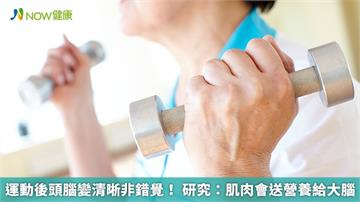 運動後頭腦變清晰非錯覺！ 研究：肌肉會送營養給大腦