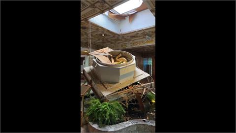 圓山飯店天花板疑遭白蟻蛀蝕坍塌　金龍噴泉百年金龍「斷頭」