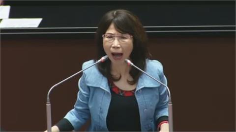 陳昭姿嗆「有本事宣布一邊一國」　綠委秒照做讓她又暴氣