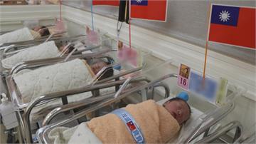 「國慶寶寶」人數年年下降！醫建議效仿日本「人工生殖」提高生育率