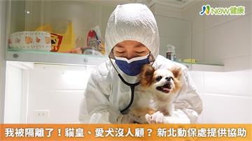 我被隔離了！貓皇、愛犬沒人顧？新北動保處提供協助