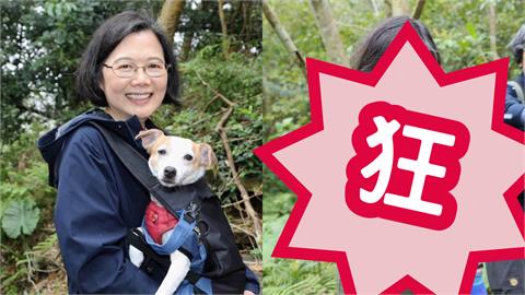 蔡英文「抓到野生小草大變臉」表情管理失控！背後真相曝光網笑翻：很正常